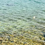 Luxus Ferienunterkunft Direkt Am Bei Novigrad Dom wakacyjny *