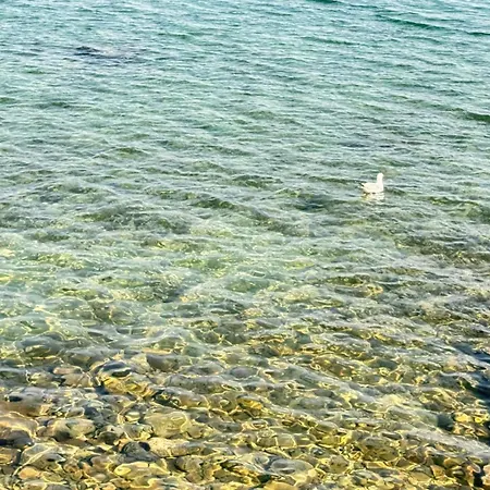 Aussergewoehnlicher Ferienunterkunft Direkt Am Bei Novigrad Сasa de vacaciones *